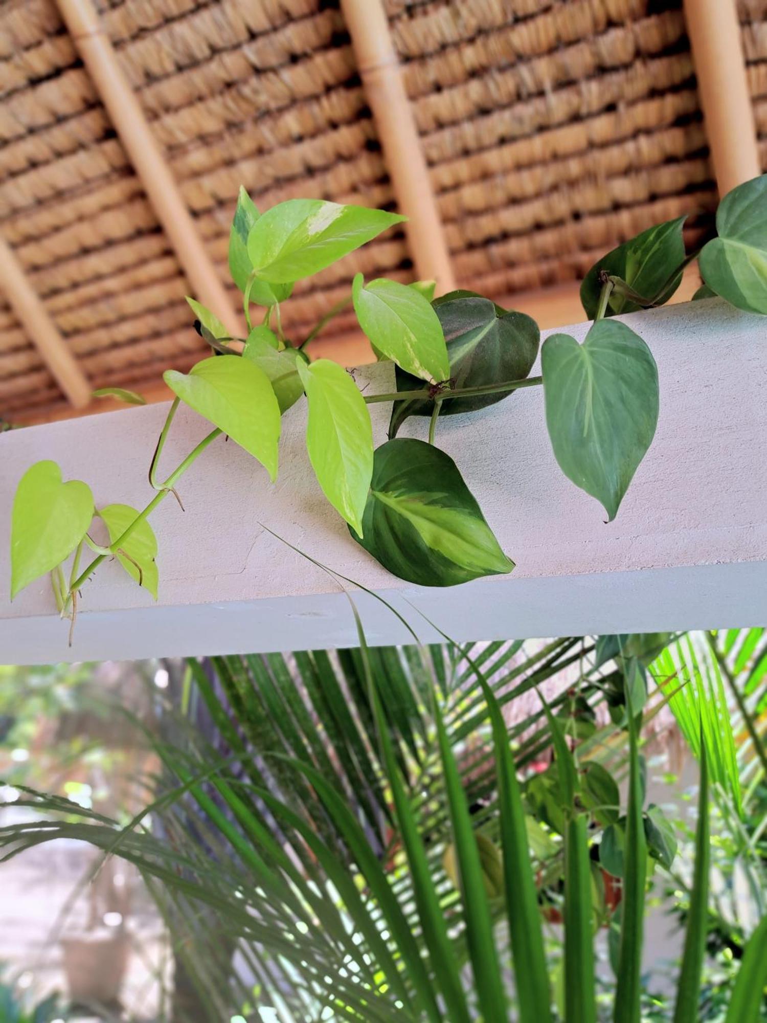 Eden Eco Resort Gili Trawangan Extérieur photo